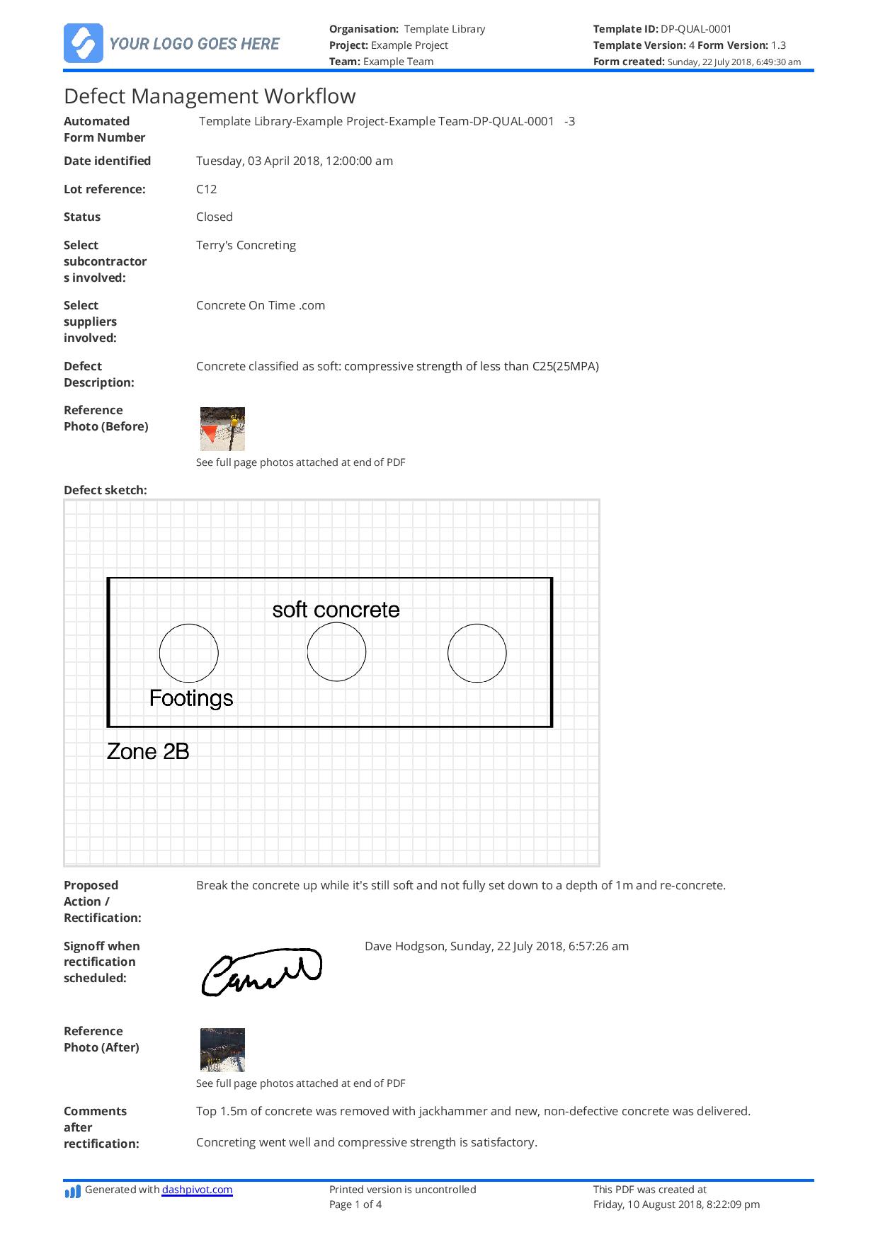 Defect report format