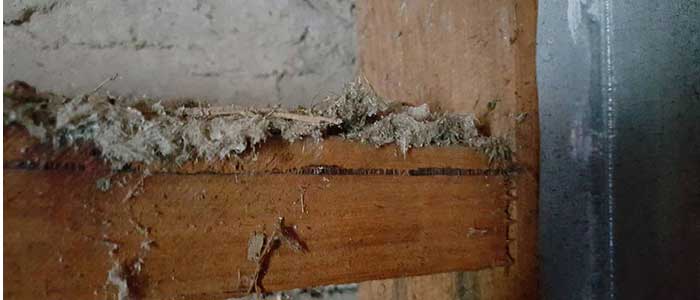 Loose asbestos register